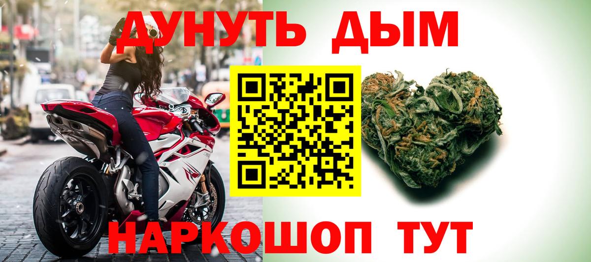Канабис сатива Югорск